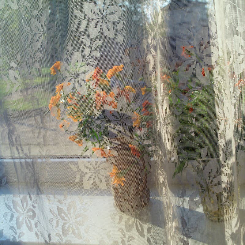 Cortina de tul transparente fotografía de archivo libre de regalías Cortina de tul transparente fotografía de archivo libre de regalías