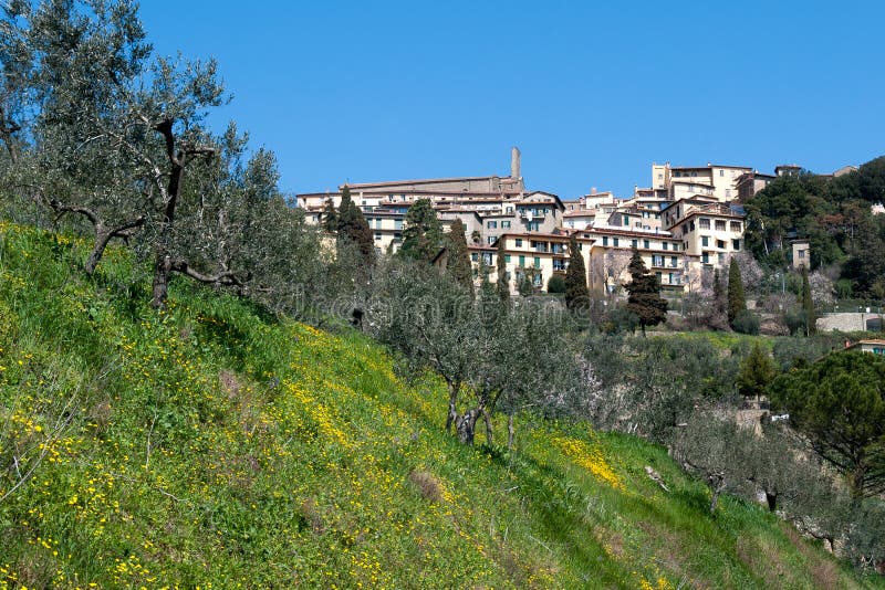 Cortona