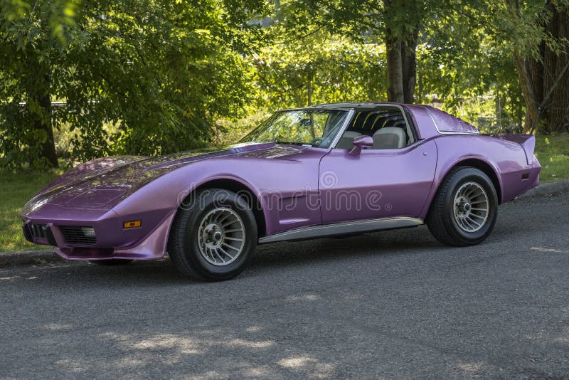 Picture of chevrolet corvette stingray with special color paint