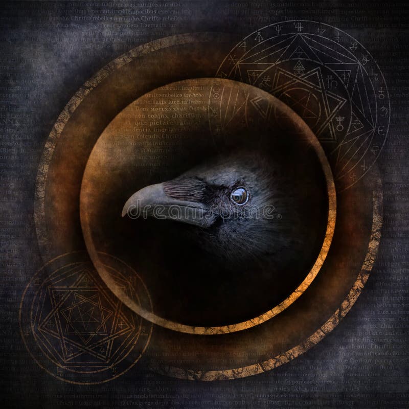 Corvo del demone immagini stock Corvo del demone immagini stock