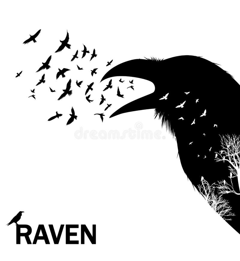 Corvo o corvo di gracidamento Illustrazione di vettore royalty illustrazione gratis Corvo o corvo di gracidamento Illustrazione di vettore royalty illustrazione gratis