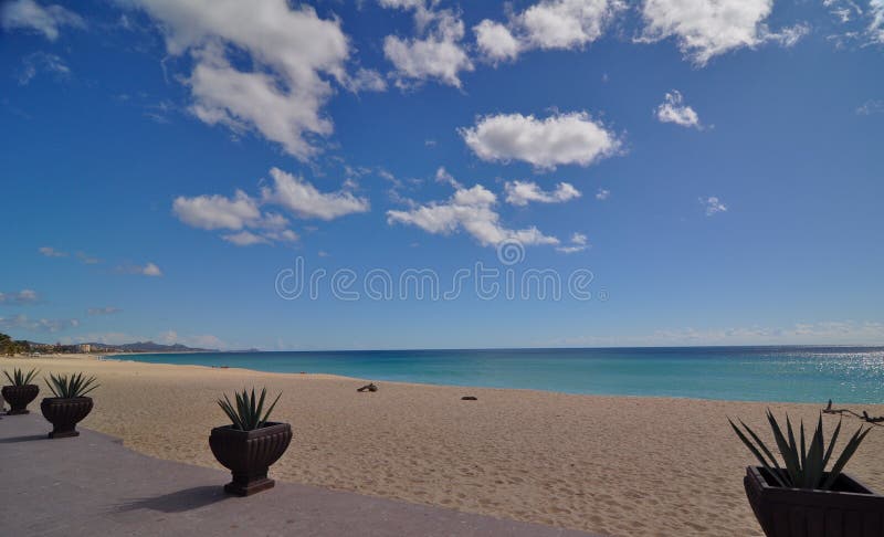 Cosat Azul Los Cabos Mexico