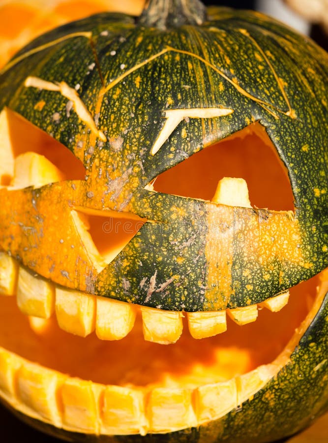 Cosecha de la calabaza en la naturaleza foto de archivo libre de regalías Cosecha de la calabaza en la naturaleza foto de archivo libre de regalías