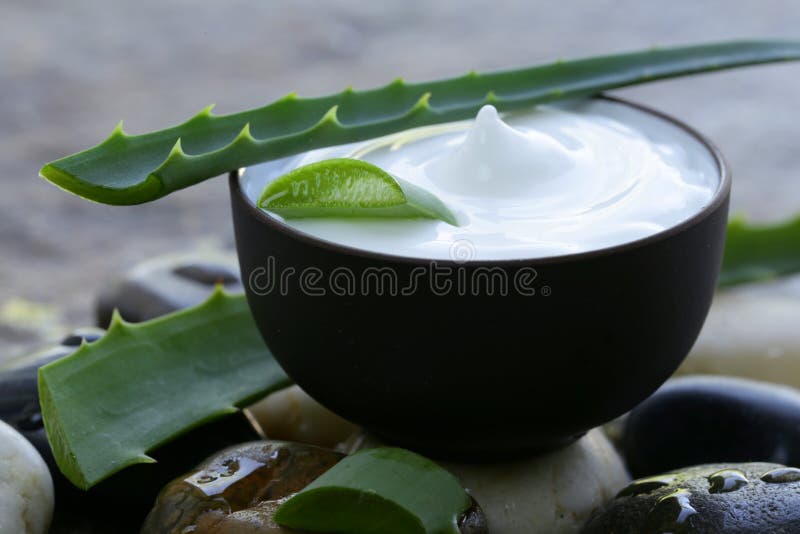 Cosmetic cream lotion with natural green aloe vera