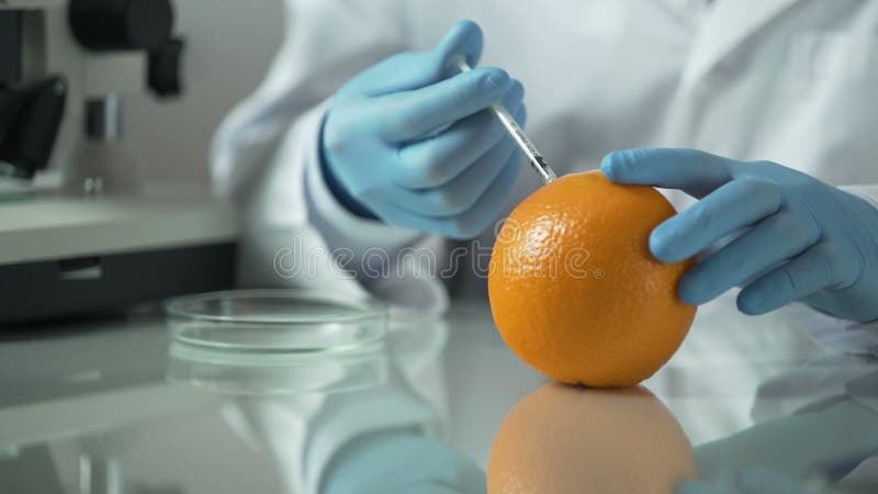 Cosmetologo che estrae gli oli essenziali dall'arancia, prodotti della vitamina dell'agrume