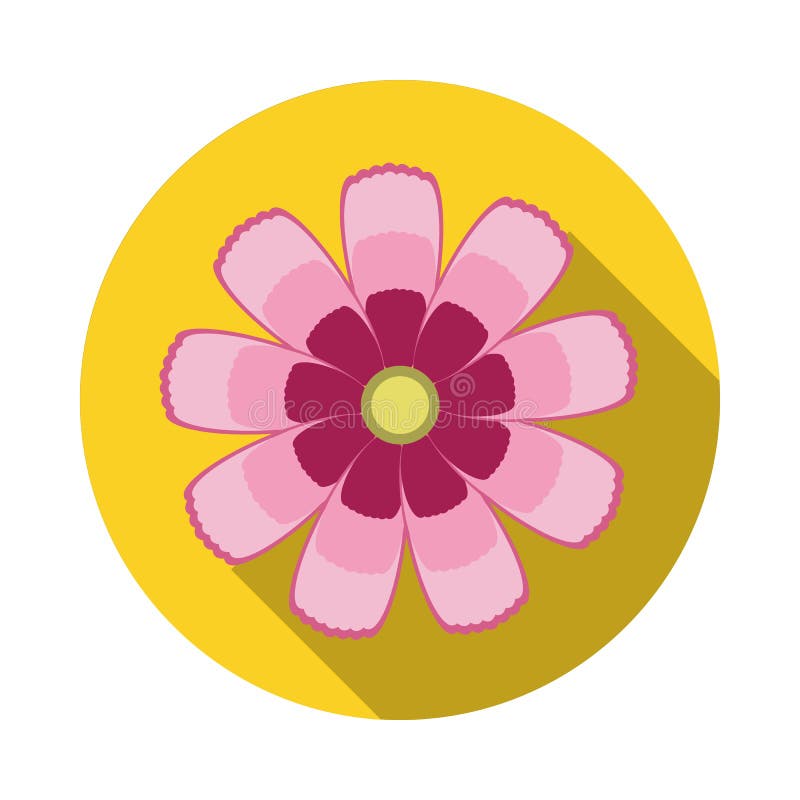 Cosmos Flower Flat Icon with Shadow Stock Vector - Illustration of