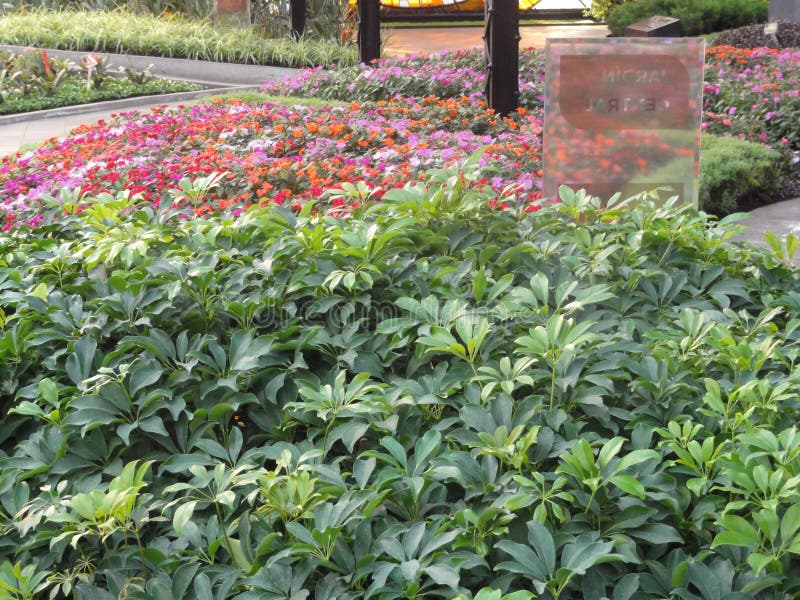 Cosmovitral is een botanische tuin is in Toluca - Mexico royalty-vrije stock afbeelding Cosmovitral is een botanische tuin is in Toluca - Mexico royalty-vrije stock afbeelding