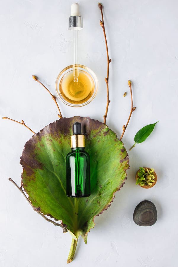 Cosmético orgânico dos termas com ingredientes ervais Soro vegetal para a pele com extratos ervais garrafa de vidro com uma pipet fotos de stock Cosmético orgânico dos termas com ingredientes ervais Soro vegetal para a pele com extratos ervais garrafa de vidro com uma pipet fotos de stock