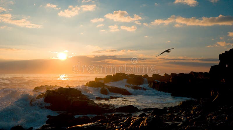 Costa de la mañana imagen de archivo libre de regalías Costa de la mañana imagen de archivo libre de regalías