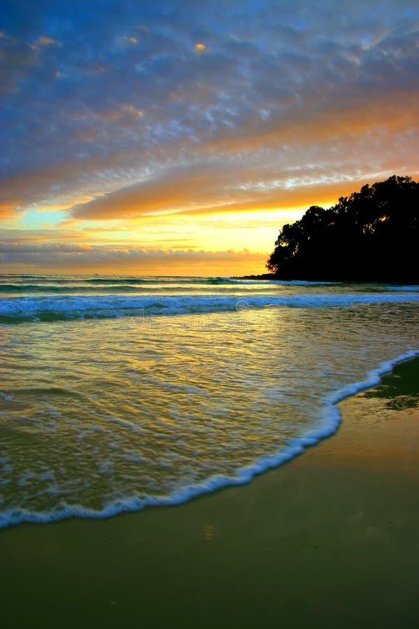 Parque Nacional En La Costa De La Sol, Queensland, Australia De Noosa