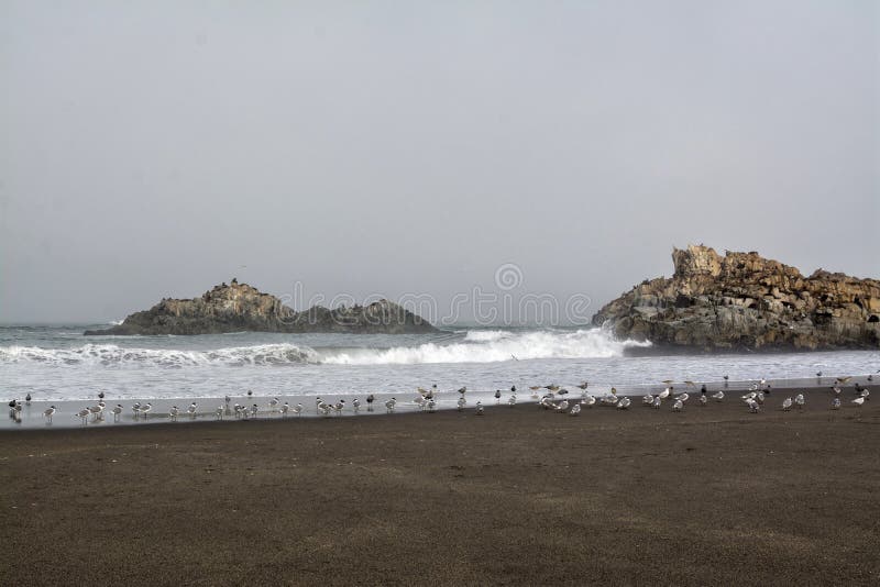 Costa di Cobquecura, Cile fotografia stock libera da diritti Costa di Cobquecura, Cile fotografia stock libera da diritti