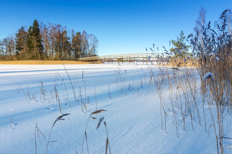 Costa sueco do lago com ponte de madeira foto de stock