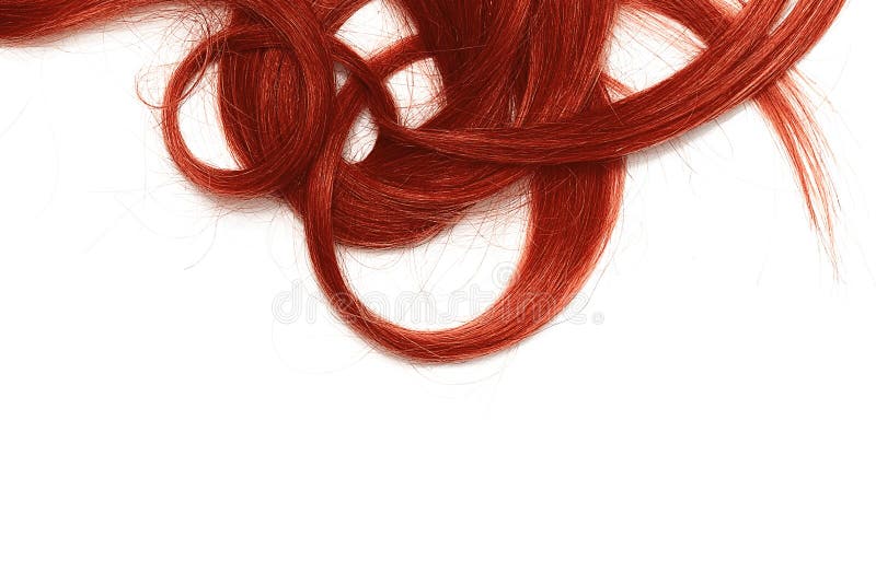 Costas do cabelo longo, torcido, vermelho isolado no fundo branco foto de stock royalty free Costas do cabelo longo, torcido, vermelho isolado no fundo branco foto de stock royalty free
