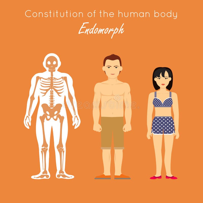 Costituzione del corpo umano Endomorph Endomorfo