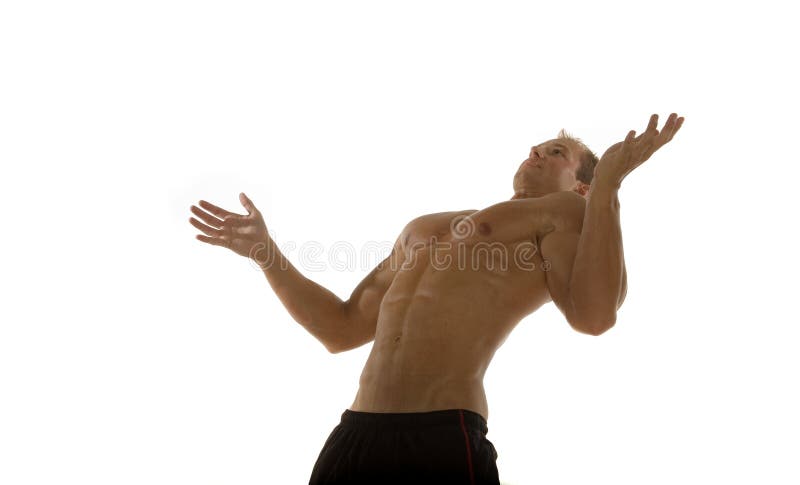 Costruttore di corpo maschio muscolare fotografia stock libera da diritti Costruttore di corpo maschio muscolare fotografia stock libera da diritti