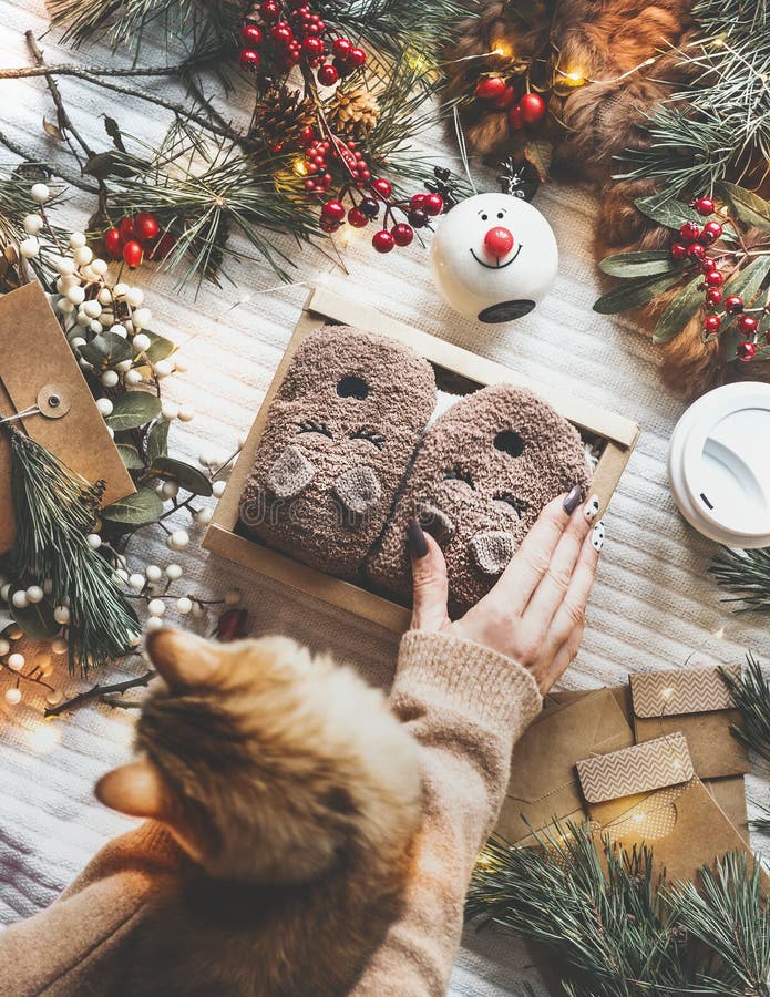 Cosy décor de la maison de Noël Les mains d'une femme avec un chat au gingembre et une boîte cadeau avec des chaussettes d'ours e photo stock