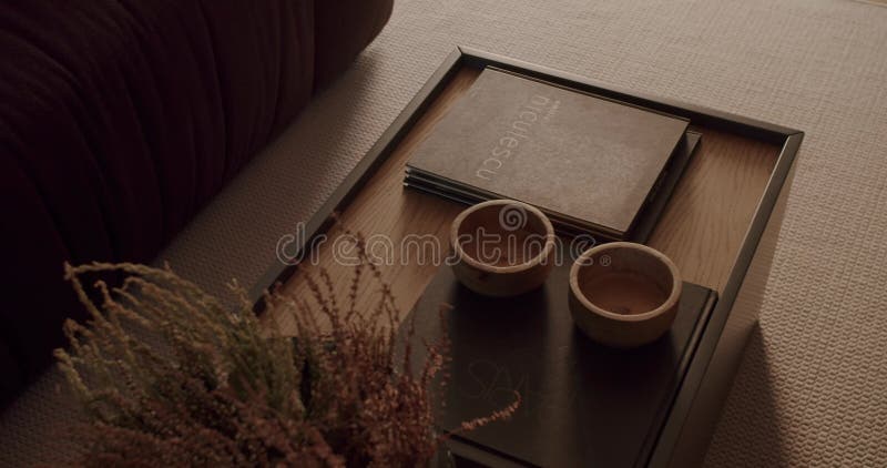 Cosy Salon Décor : Livres et plantes de table de café créent une atmosphère chaleureuse banque de vidéos