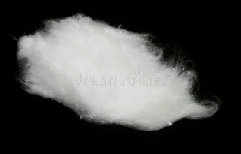 Coton pelucheux photos stock Coton pelucheux photos stock