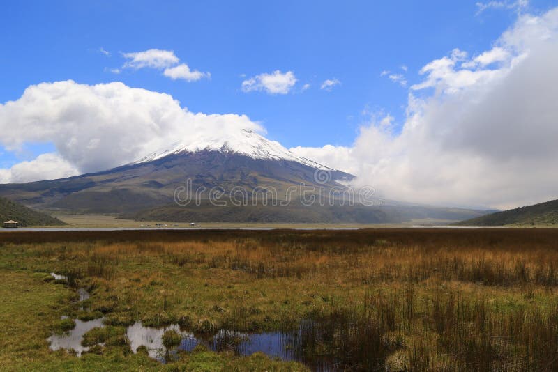 Cotopaxi Snow Covered Peak and Meadows Stock Photo - Image of cotopaxi ...