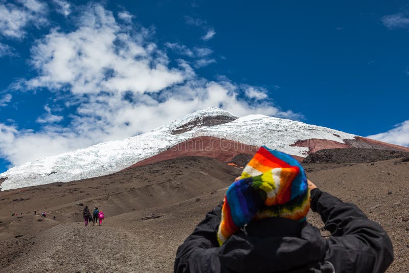 A Couple of Llamas in Cotopaxi Stock Image - Image of volcano, paramo ...