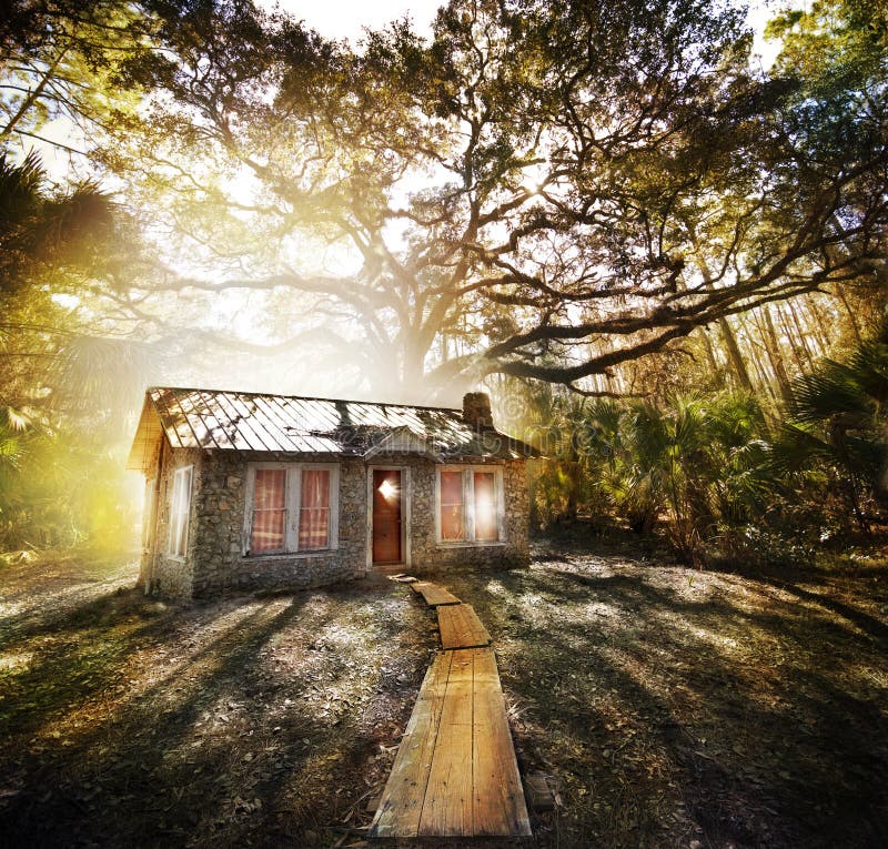 Stregato villetta profondo foresta di legno salire bordo marciapiede sul porta.