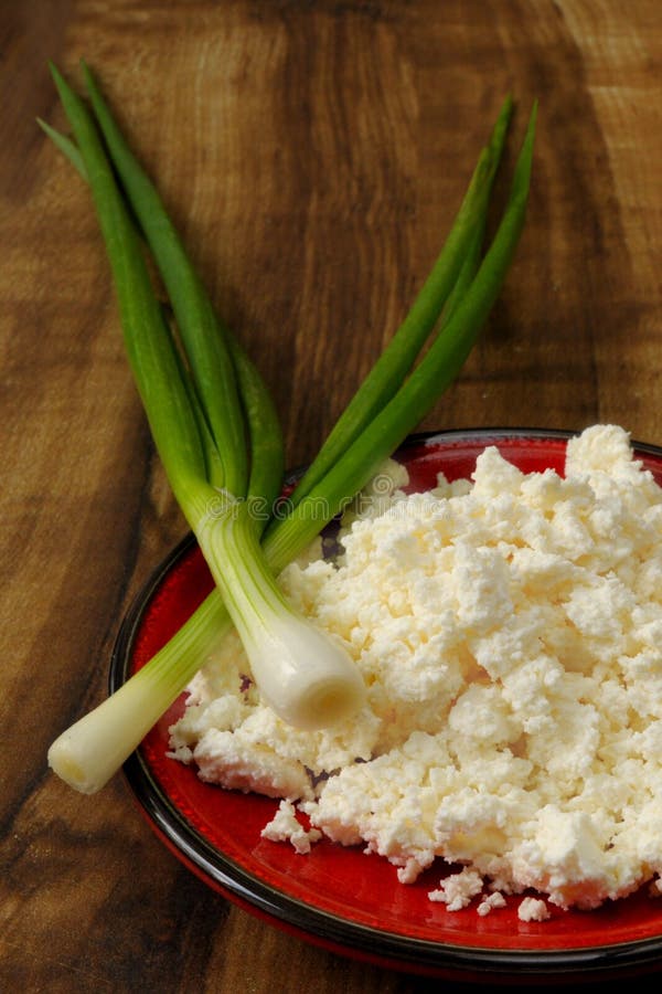 Cottage cheese stock photo. Image of green, cheese, onions 19939552