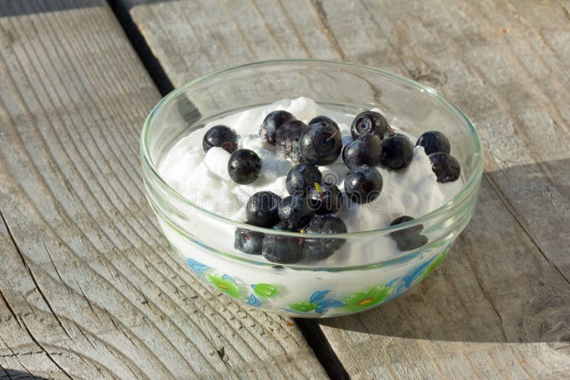 Cottage Cheese with Blueberries Stock Image Image of dessert, ripe