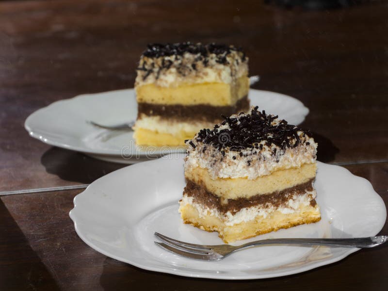 Cottage Cheese Chocolate Cake on a Plate Stock Photo Image of cake
