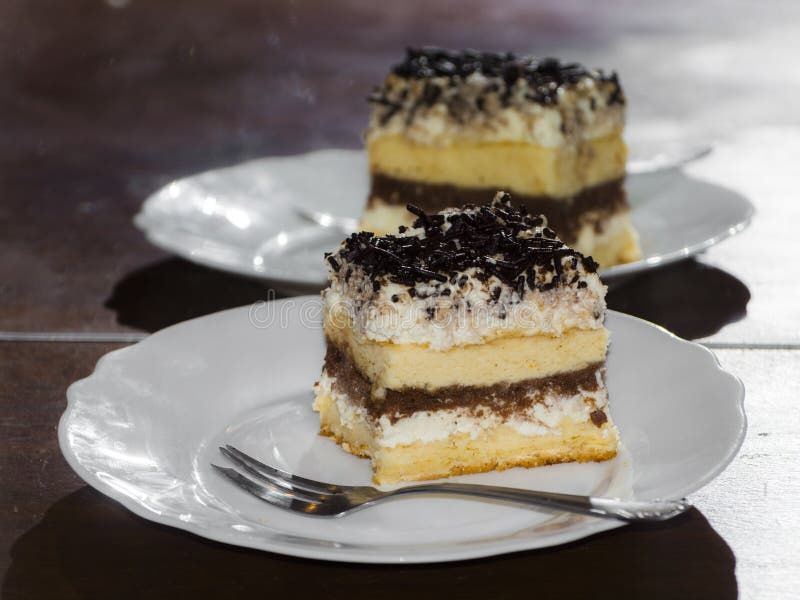 Cottage Cheese Chocolate Cake on a Plate Stock Image Image of