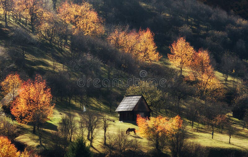 Cottage in dreamy landscape