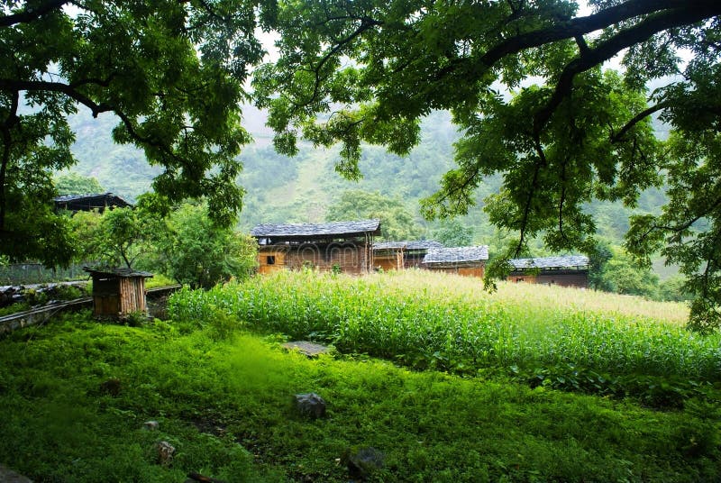 Cottage of the Dulong nationality