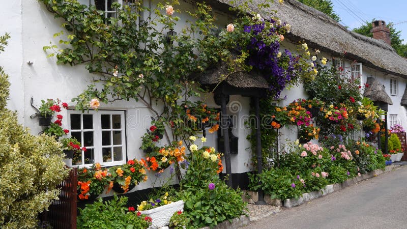Cottage inglese del paese rivestito con i fiori immagini stock Cottage inglese del paese rivestito con i fiori immagini stock