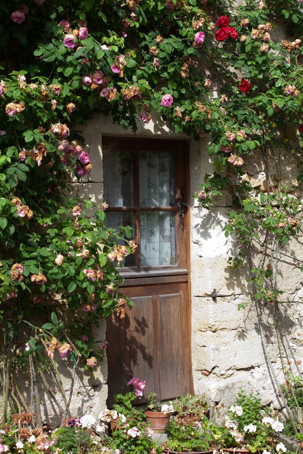 Cottage with roses stock image. Image of pretty, garden - 39801155