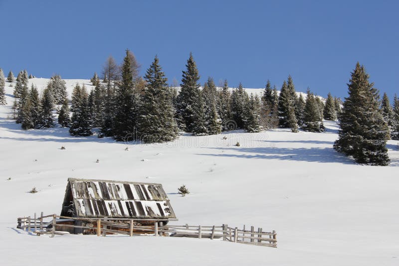 Cottage With Trees In Background On Gold Corner, Spittal, Carinthia, Austria In Winter