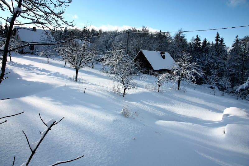 Cottage in winter