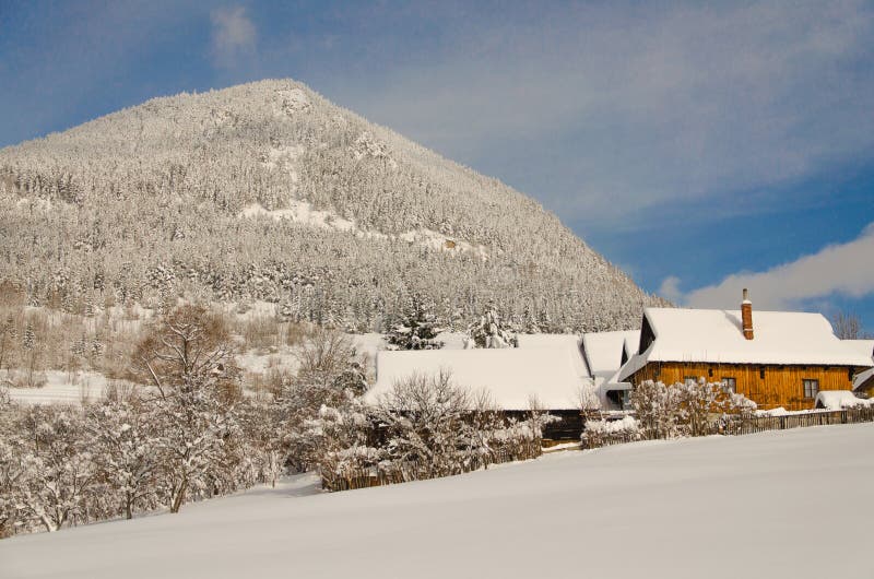 Cottages in vlkolinec