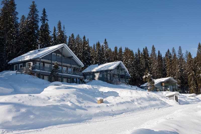 Cottages in winter