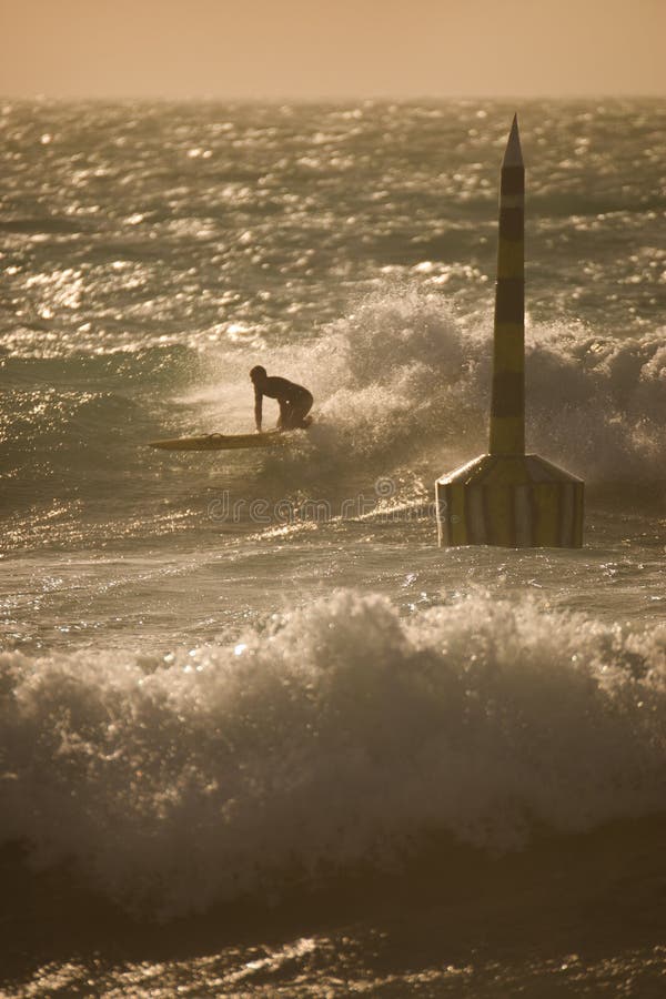 Cottesloe beach surfer