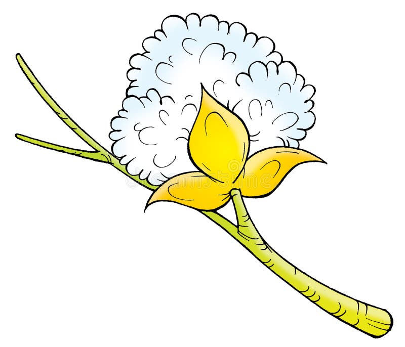 Cotton stock illustration. Illustration of clipart, card - 3085229