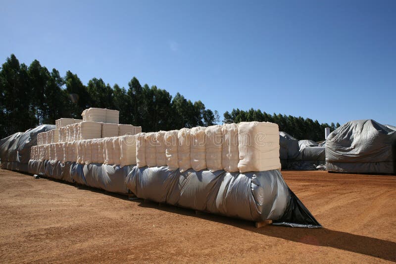 Cotton bales stock image. Image of white, nature, natural 29280243