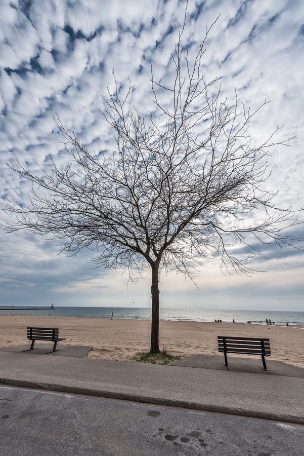 515 Cotton Tree Beach Stock Photos - Free & Royalty-Free Stock Photos ...