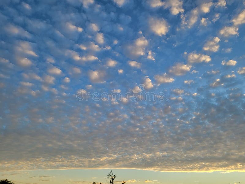 Cotton Ball Clouds Over the Horizon at Dawn! Stock Image Image of