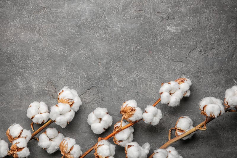 Cotton Flowers On Background Stock Image Image of design, bloom 110099521