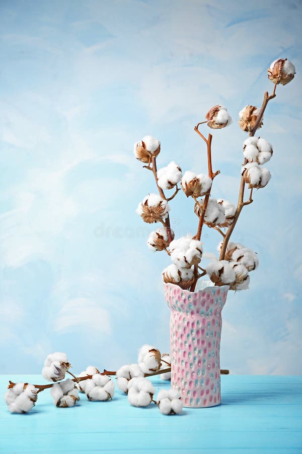 Cotton flowers in vase stock image. Image of nature 110099397