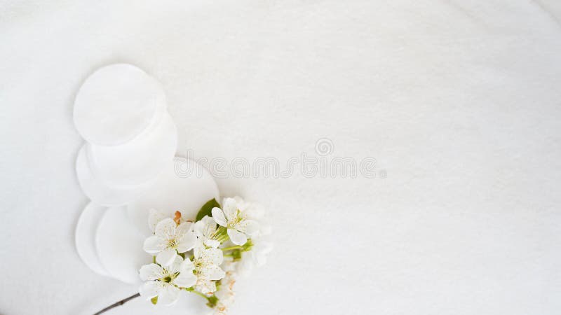Cotton pads and flower on white background with copy space . skin body care concept. Leaf, facial.