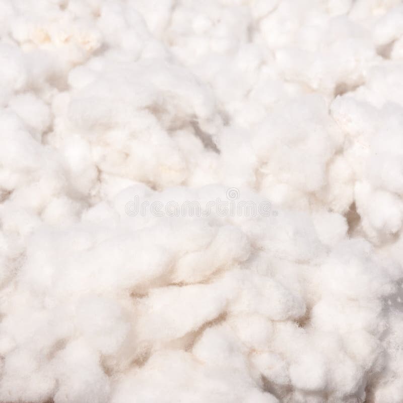 Cotton stock photo. Image of material, living, agriculture 44784298