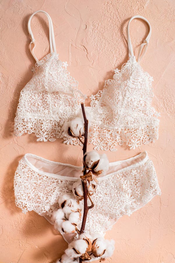 Cotton Striped Panties and White Bra. Women S Lingerie on the Concrete  Background. Top View Shot of Fashionable Women S Underwea Stock Image -  Image of cloth, branch: 170931573