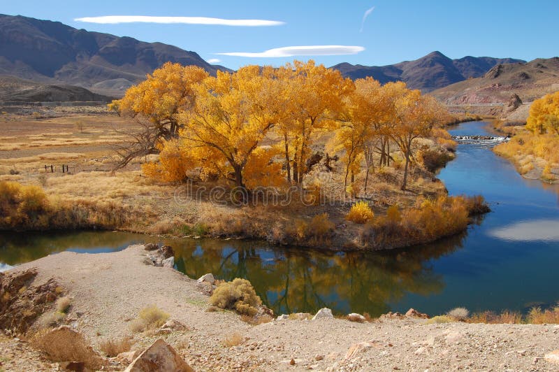 Cottonwoods in Nevada stock image. Image of trees, fall 14165779