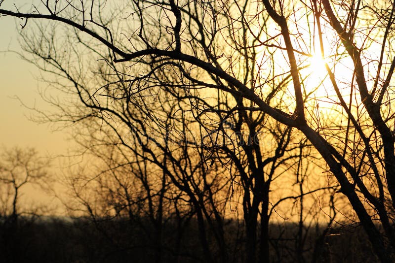 Coucher du soleil africain en parc national de Kruger, Afrique du Sud image stock Coucher du soleil africain en parc national de Kruger, Afrique du Sud image stock