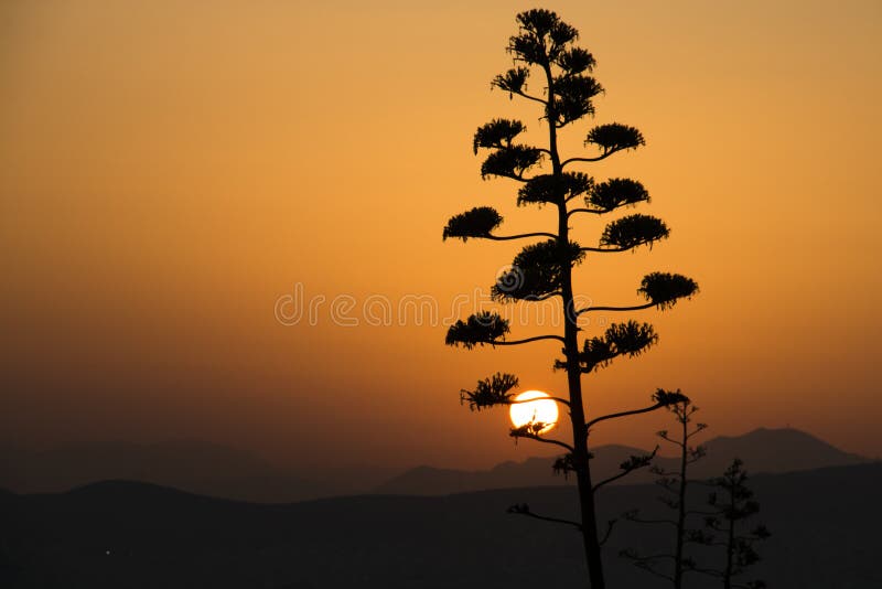 Coucher du soleil au-dessus d'Athènes en Grèce photo stock Coucher du soleil au-dessus d'Athènes en Grèce photo stock
